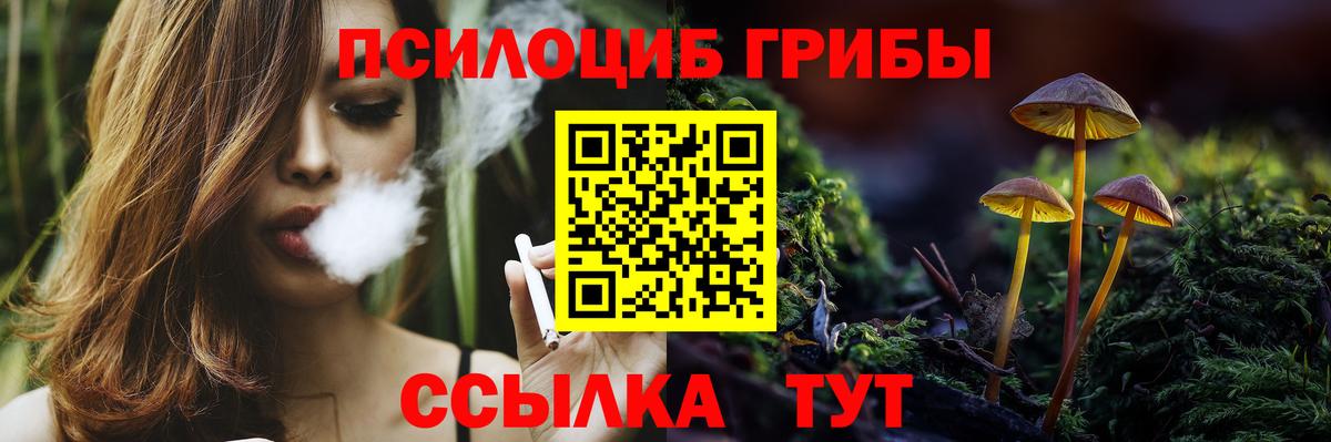 Галлюциногенные грибы Psilocybine cubensis  Вход с VPN  Алушта 
